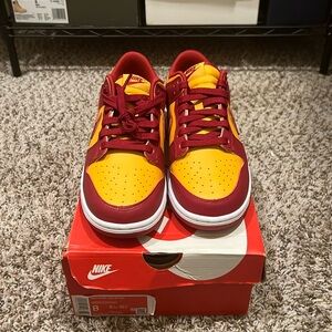 Nike dunks size 8